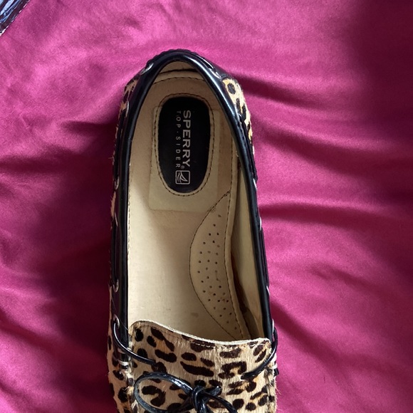 Sperry Top Siders - Picture 5 of 9